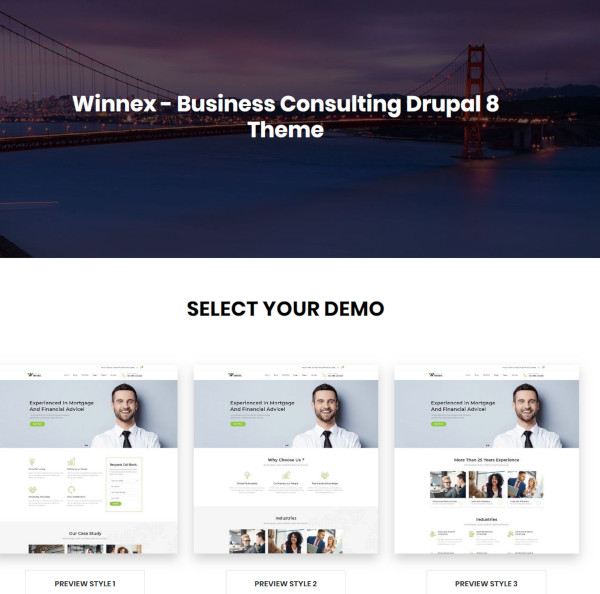 business consulting drupal