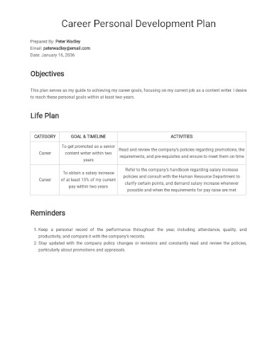 Career Development Plan Template - 22+ Free Word, PDF Documents Download!