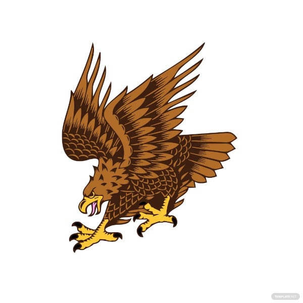 cartoon eagle clipart drawing template