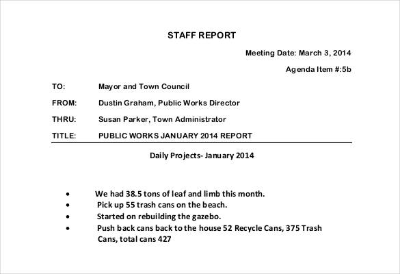 daily project staff report template