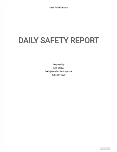 82+ Daily Report Templates - Word, PDF, Excel, Google Docs