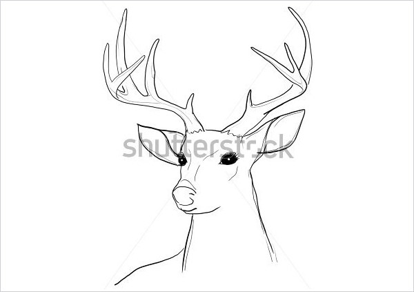 Simple Deer Horns Drawing