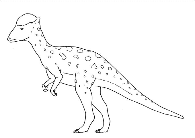 dinosaur picture to color