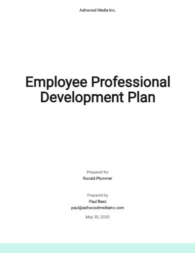 employee individual development plan templates