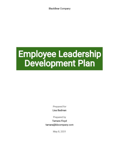 employee leadership development plan template