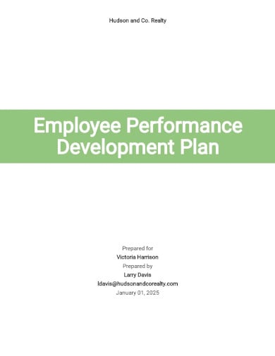 employee performance development plan template