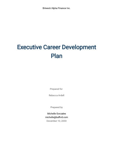 executive career development plan template