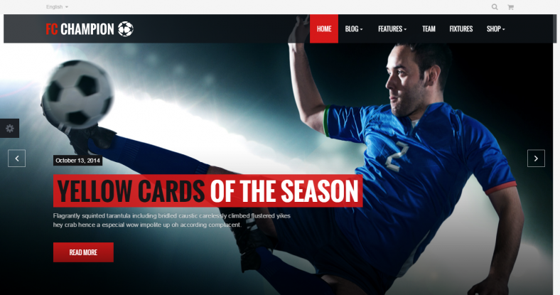 13+ Football WordPress Themes & Templates