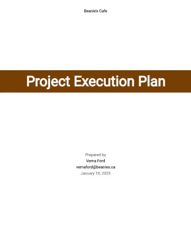 25+ Project Execution Plan Templates - Word, PDF, Excel, Apple Pages