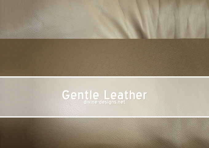 gentle leather 2150