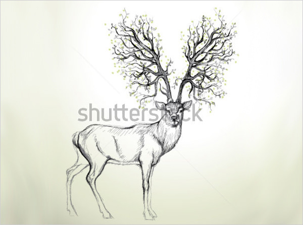 graciours deer drawing