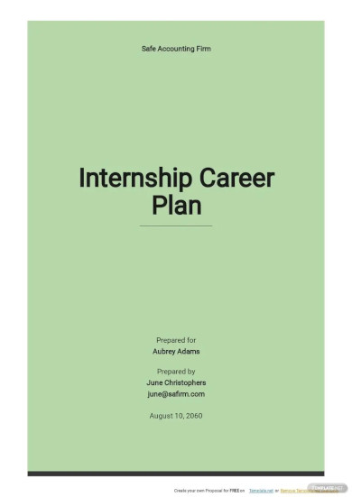internship career plan template