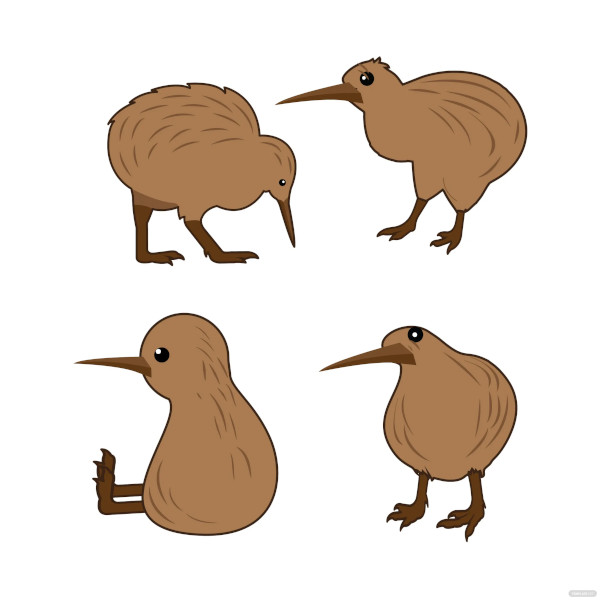 kiwi bird template