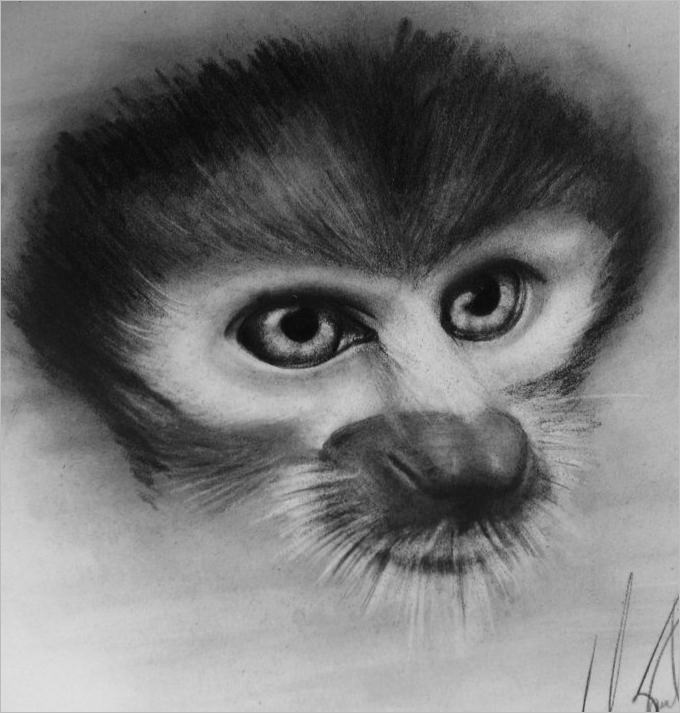 monkey pencil eye drawing