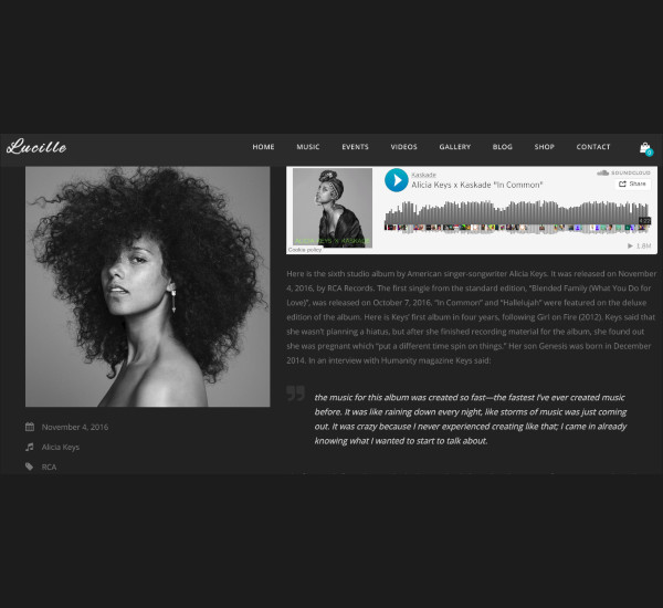 music wordpress theme