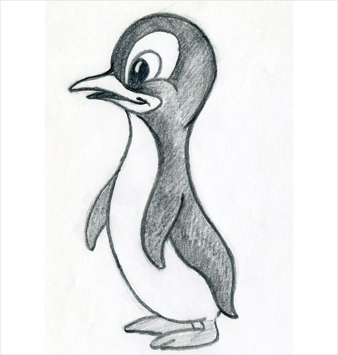 penguine image