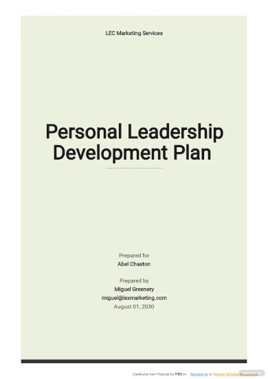 Leadership Development Plan Template 11 Word PDF Documents Download