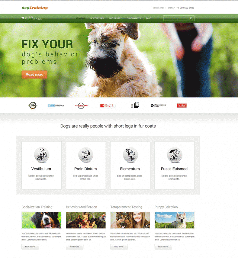 pet-wordpress-theme-wordpress-themes-free-premium-templates