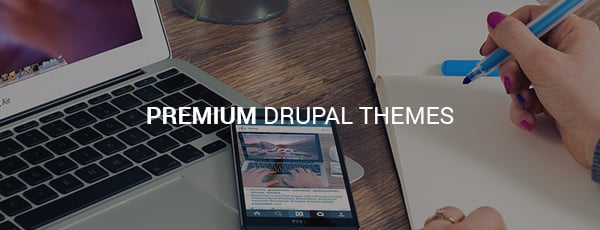 premium drupal themes