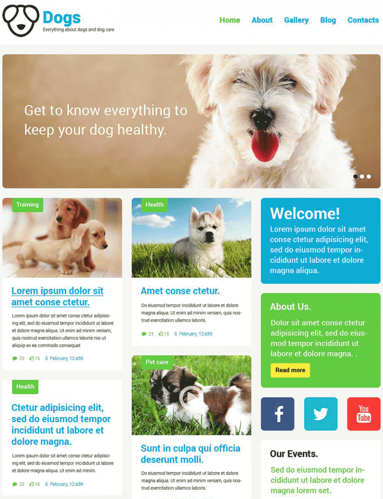 pet-wordpress-theme-wordpress-themes-free-premium-templates