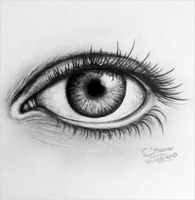 Eyes drawing sketch Royalty Free Vector Image  VectorStock