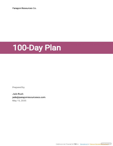 sample 100 day plan template