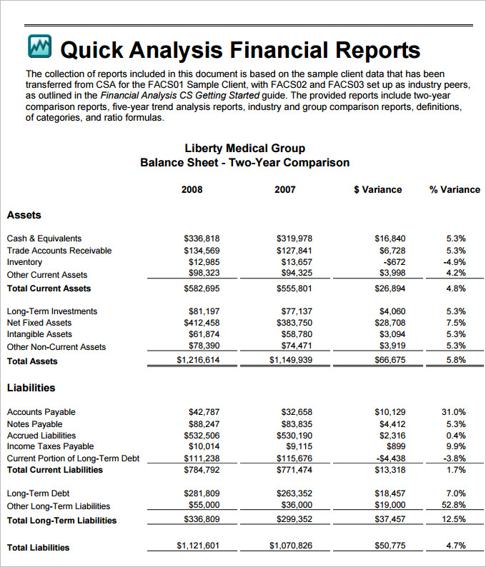 Financial Analysis Report Example