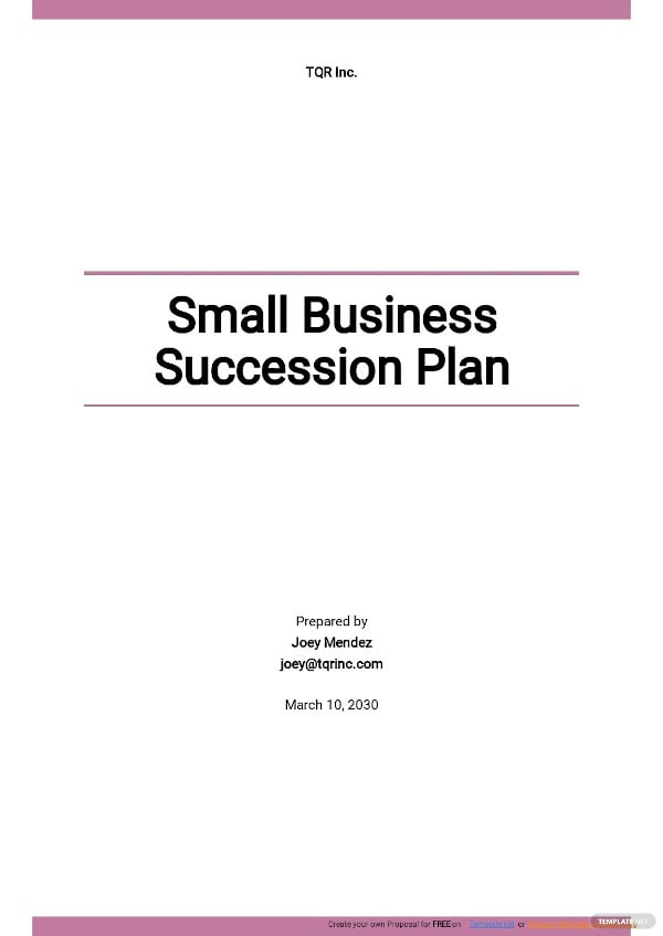 small business succession plan template