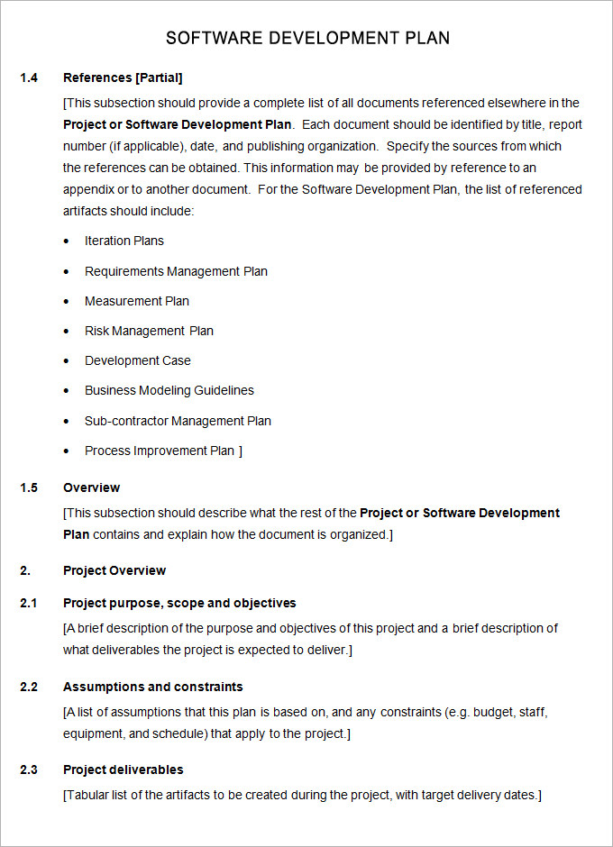 business plan for software development pdf