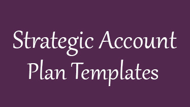 Strategic Account Plan Template - 8+ Free Word, PDF ...