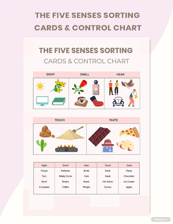 the five senses sorting cards control chart