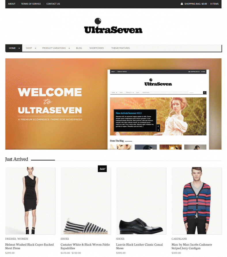 top wordpress ecommerce theme 788x890