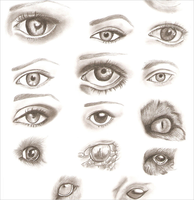 download eye drawing