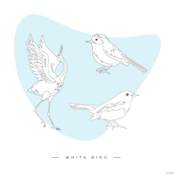 white bird template