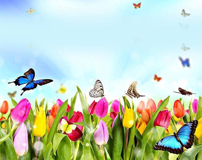 15+ Email Backgrounds Free Backgrounds Download