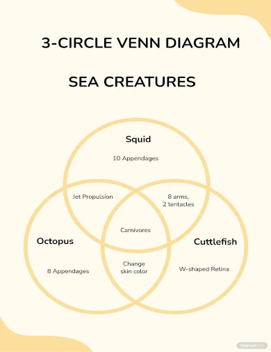 circle venn diagram template
