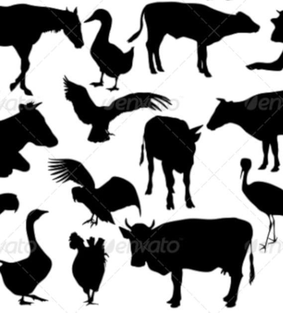 animal silhouettes vector pack
