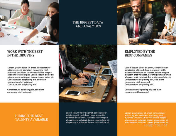blank trifold brochure template