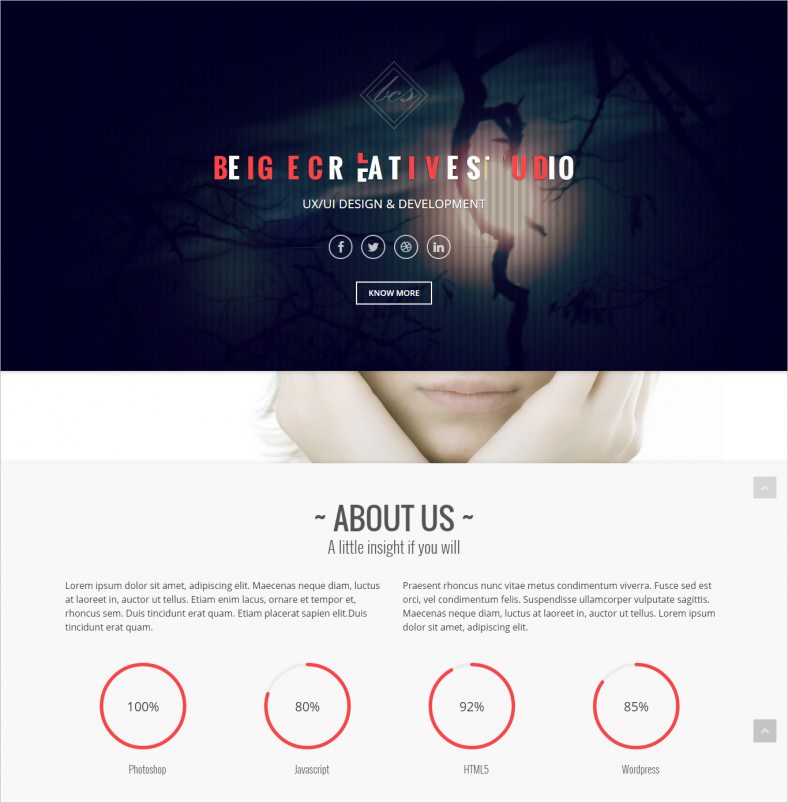 30 Portfolio Drupal Themes Templates Free Premium | 30 portfolio drupal themes templates free premium 30 Portfolio Drupal Themes Templates Free Premium | 30 portfolio drupal themes templates free premium