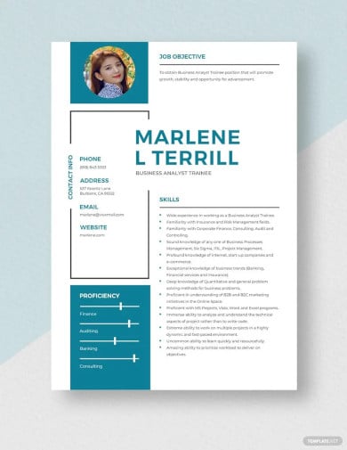 business analyst trainee resume template