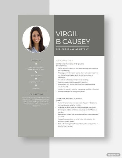 ceo personal assistant resume