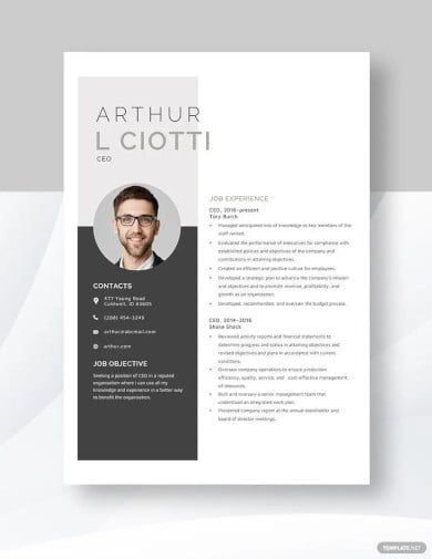 ceo resume template