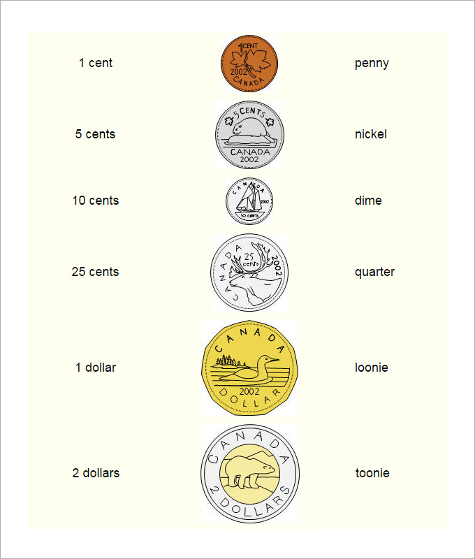 27 sample counting money worksheet templates free pdf documents