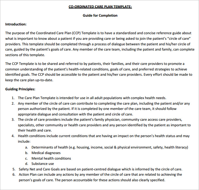 13 Patient Care Plan Templates PDF Docs