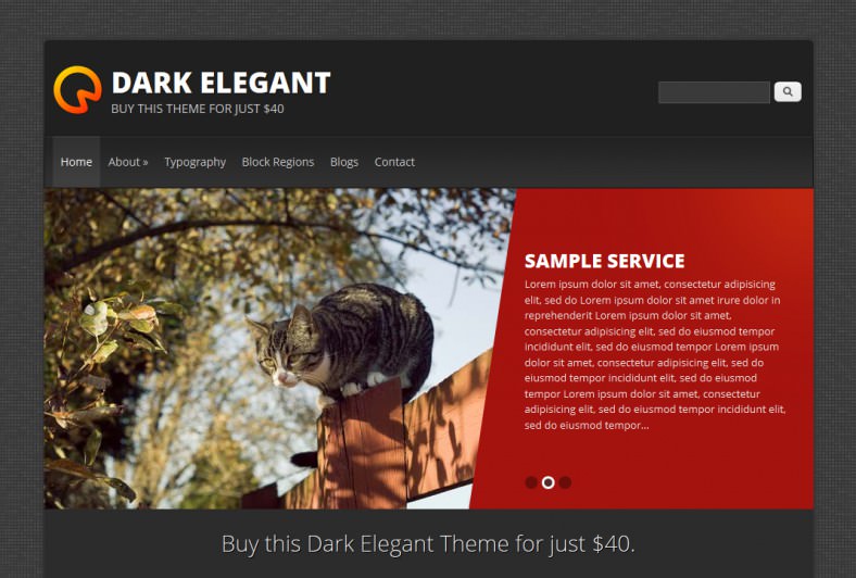 dark elegant1 788x