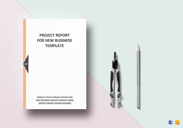 editable new business project report