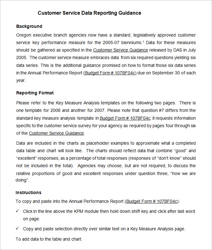 Technical Support Report Template