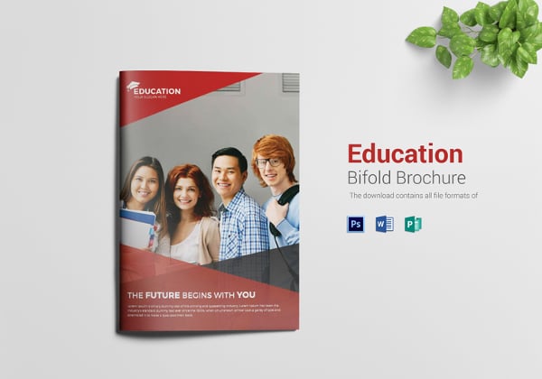 higher educational brochure template