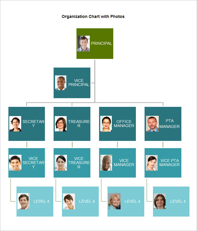 Organizational Chart Pdf Template