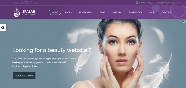 15  Best Spa Website Templates Free Premium Themes